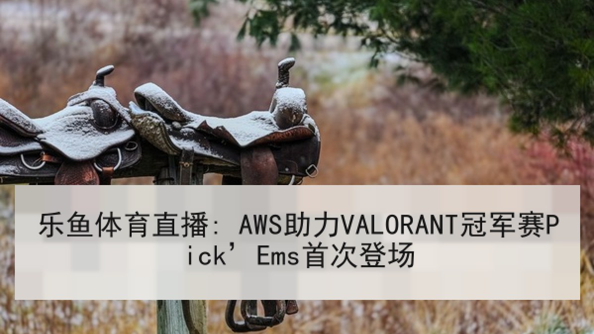 乐鱼体育直播: AWS助力VALORANT冠军赛Pick’Ems首次登场