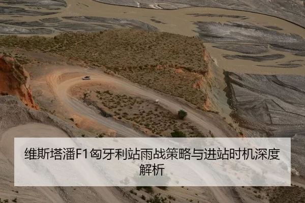 维斯塔潘F1匈牙利站雨战策略与进站时机深度解析