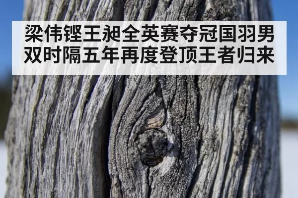梁伟铿王昶全英赛夺冠国羽男双时隔五年再度登顶王者归来