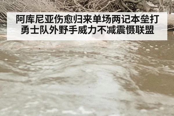阿库尼亚伤愈归来单场两记本垒打勇士队外野手威力不减震慑联盟