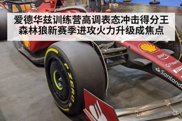 爱德华兹训练营高调表态冲击得分王 森林狼新赛季进攻火力升级成焦点